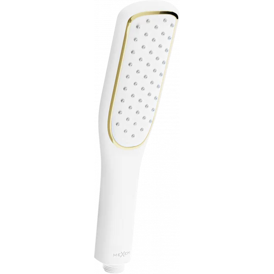 R-49 1-Function Hand Shower
