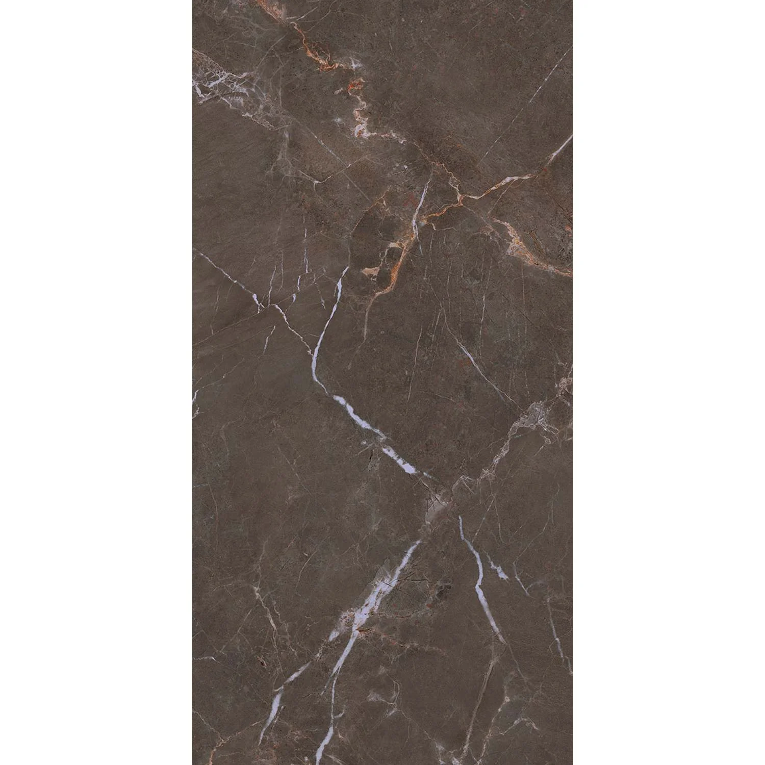 Proud Champagne Naturale Structure Matt 120x60cm - Image 3