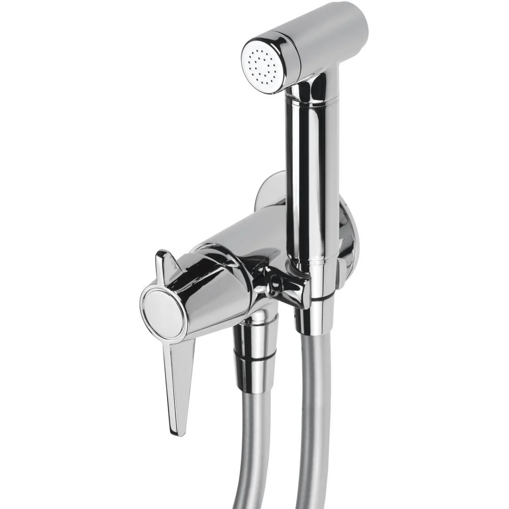 Temisto Bidet tap, concealed, with bidetta hand shower